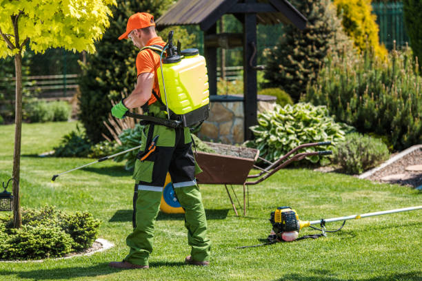 Best Outdoor Pest Control  in Manton, MI